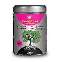 سماد بيجمانـــت بلس -500جرام